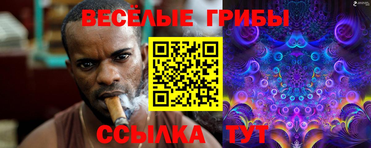 Галлюциногенные грибы мухоморы Малгобек