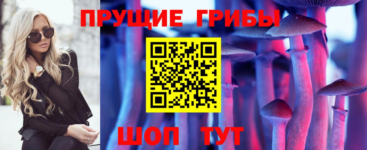 Псилоцибиновые грибы MAGIC MUSHROOMS  Вход с VPN  Псилоцибиновые грибы мицелий  купить наркоту  Малгобек 